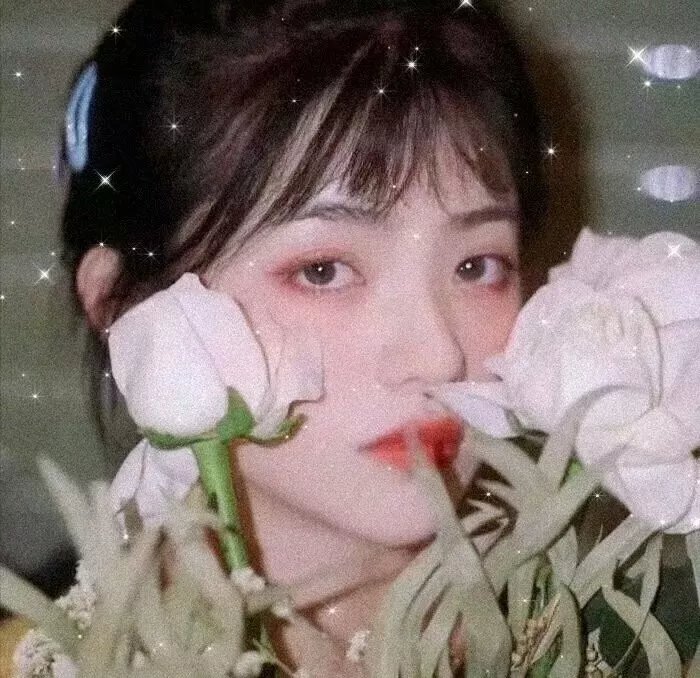 人生七年4