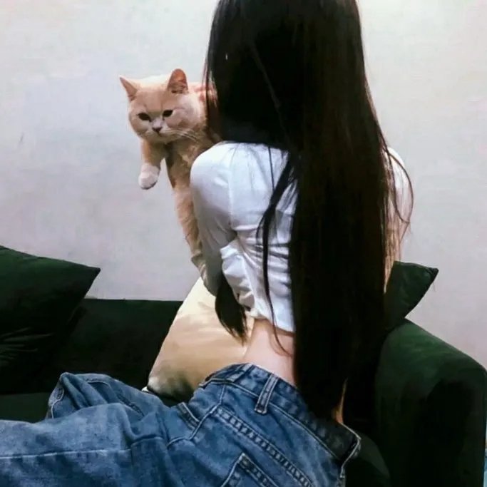 好莱坞骑士